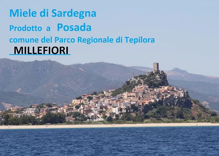 Feronia Nocleg ze śniadaniem